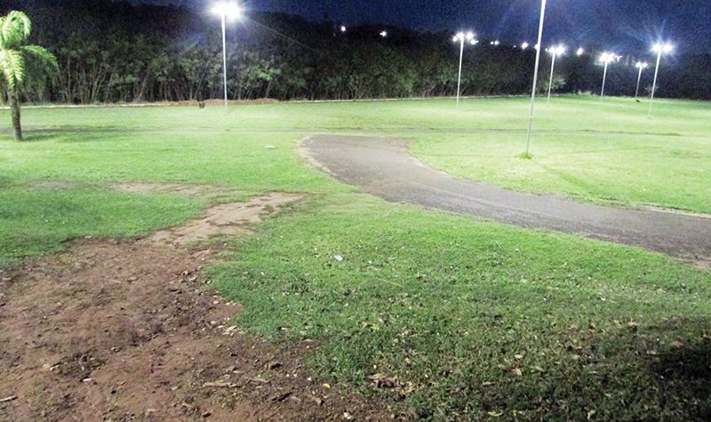 Espaço frequentado pelas capivaras no Sambódromo